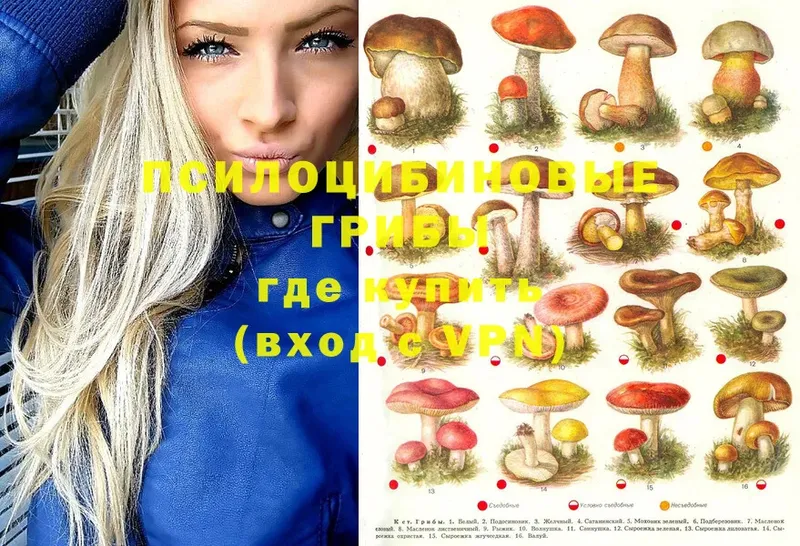 Псилоцибиновые грибы MAGIC MUSHROOMS  KRAKEN   Кумертау 